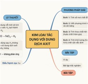 sơ đồ tư duy kim loại tác dụng với axit